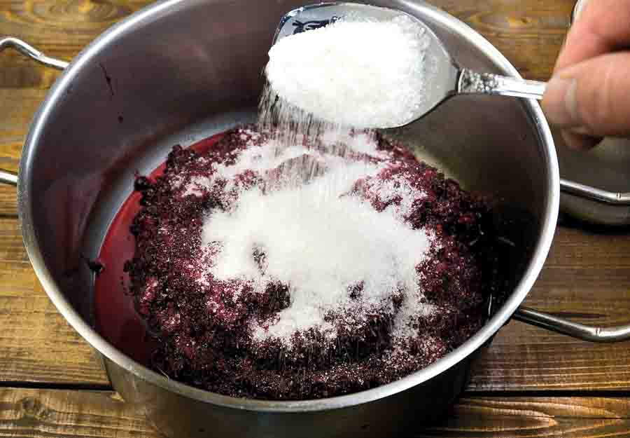 Вино на мезге: як приготувати ароматний напій з яблучного жмиху та вичавок винограду в домашніх умовах, правила вживання